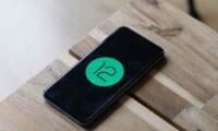 Android 12 logo 6