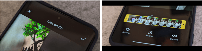 xiaomi live photos
