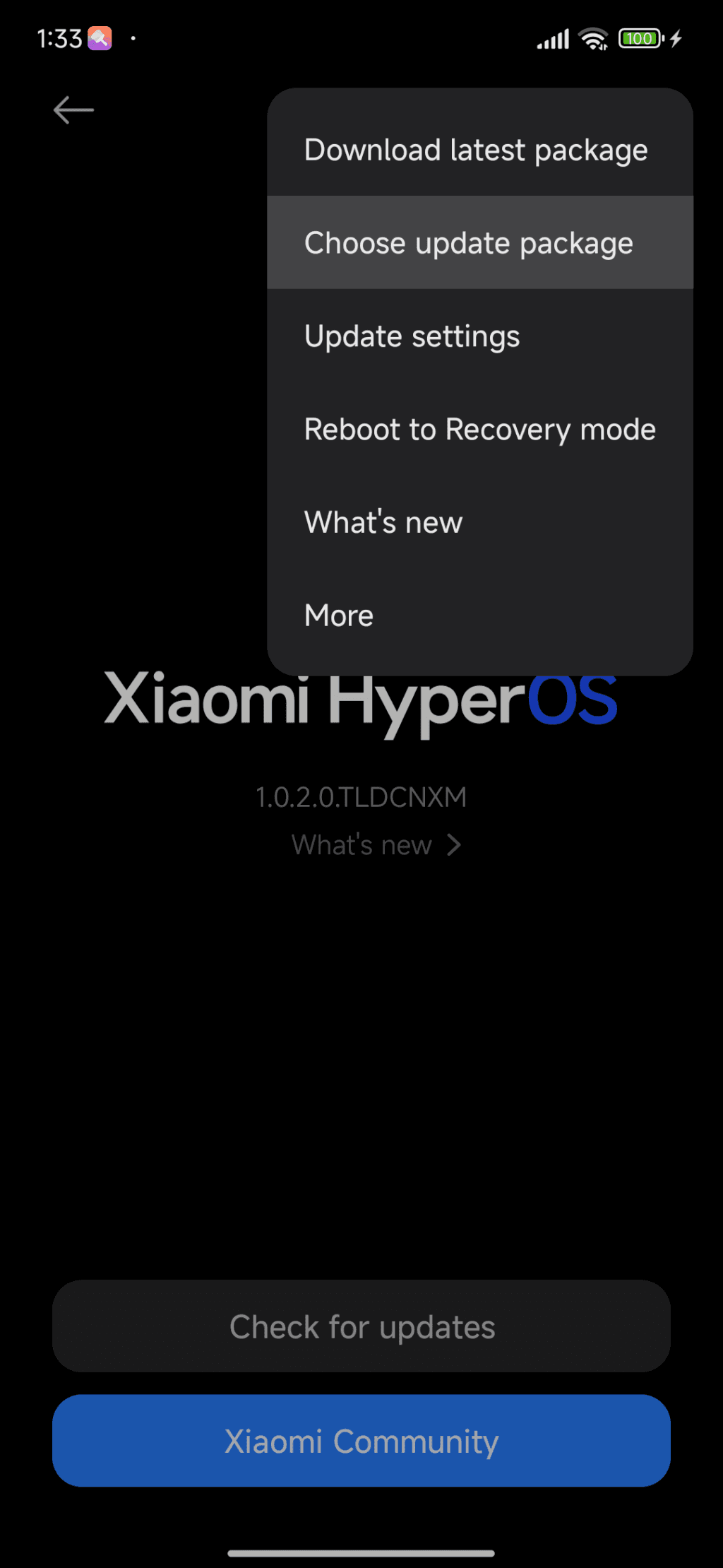 HyperOS Manual Update 4