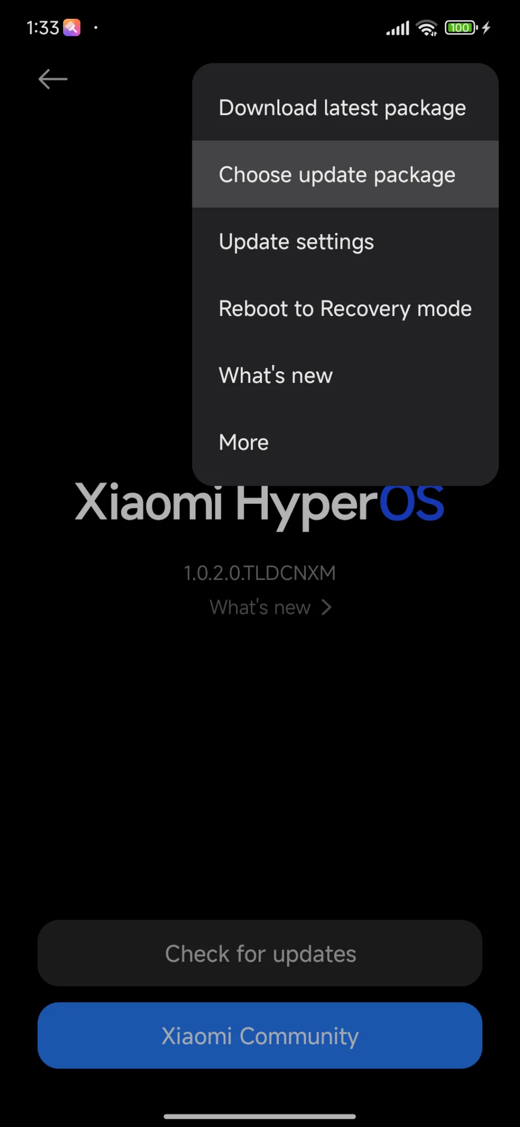 HyperOS Manual Update 4
